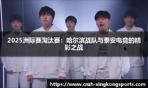 星空体育官方网站